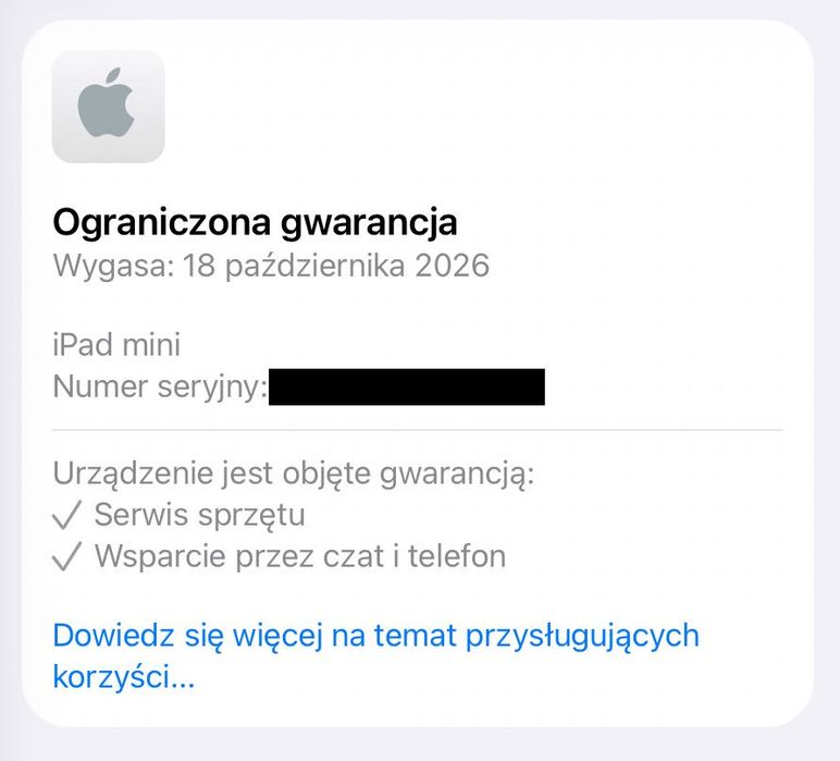 Apple iPad mini 7 (A17 Pro) 128 GB Wi‑Fi Space Gray gwarancja idealny