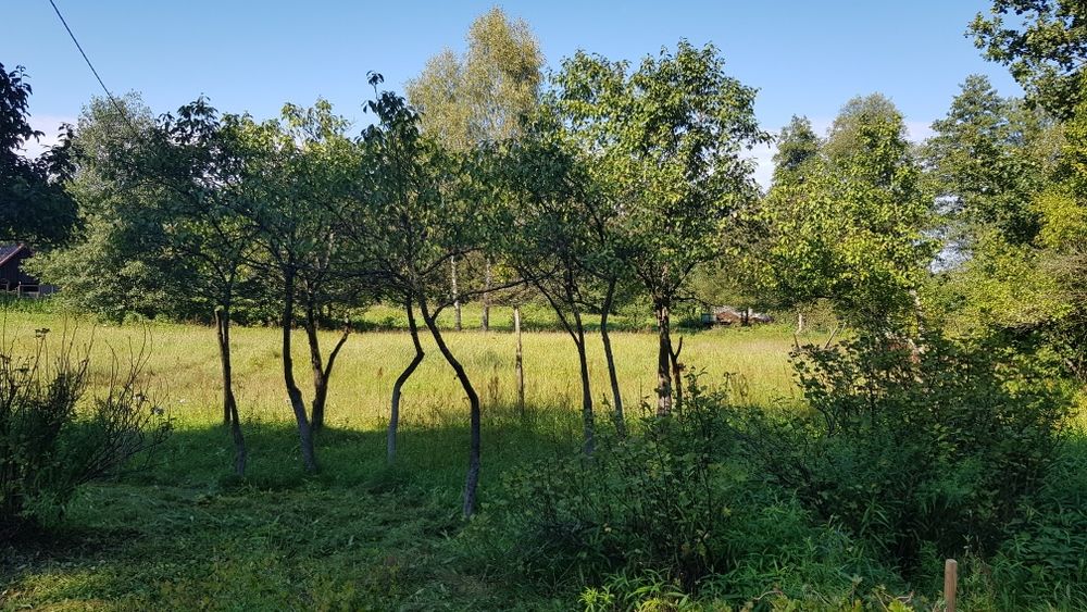Stare gospodarstwo