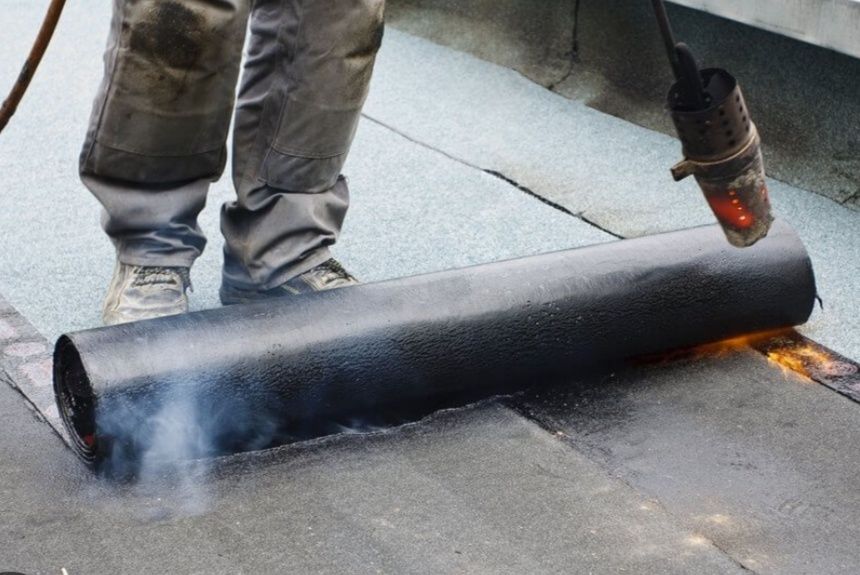 Papa w rolce - lepik gratis