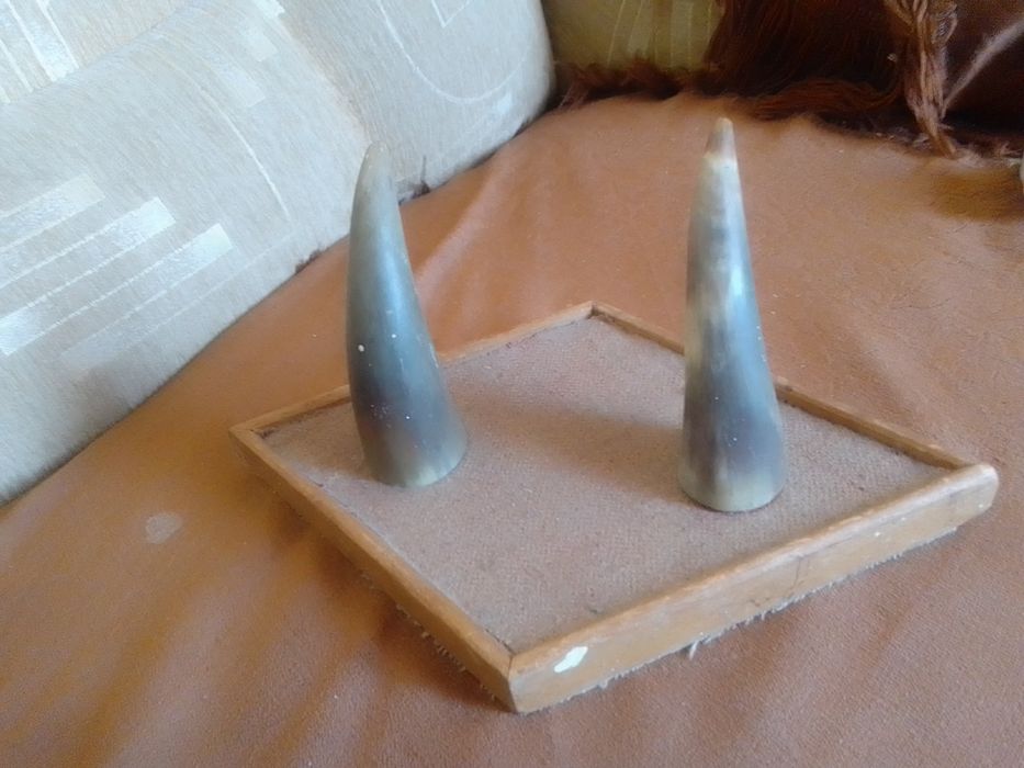 Вешалка настенная