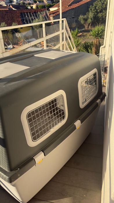 Caixa da   Gulliver  tamanho 7 com ração da Royal Canin lacrado