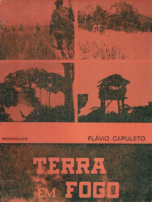 14695 	 Terra em fogo : romance  Flávio Capuleto