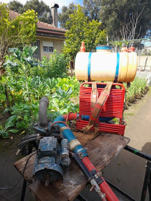 Sulfatador com motor a gasolina