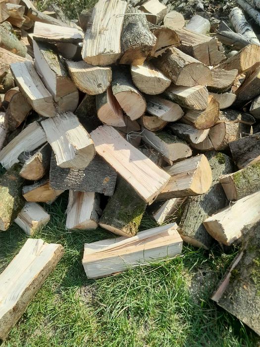 drzewo opal twarde miękkie