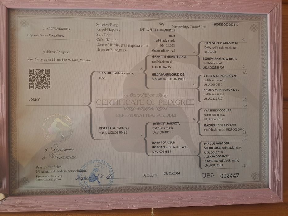 ХЛОПЧИК для вязки