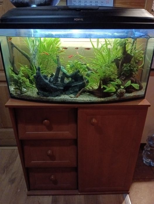 Sprzedam akwarium z szafką i życiem