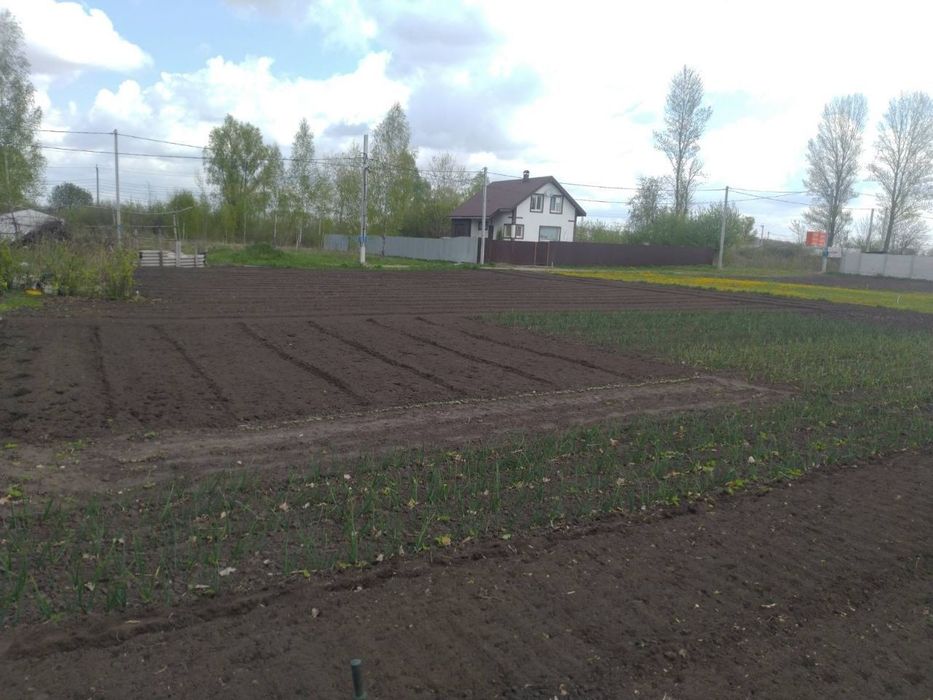 Земельна ділянка