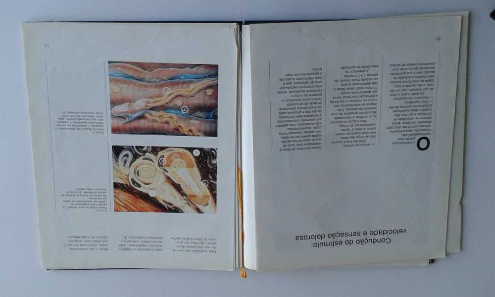 BD Capitão América / Guia Gripe