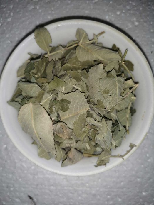 Гербарий, сушеные растения, цветы, травы, ягоды