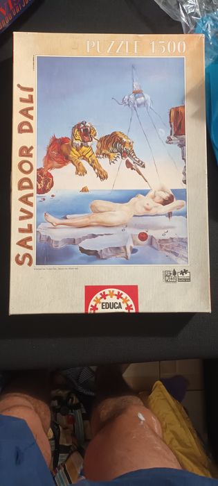 Salvador dali puzzle 1500 peças