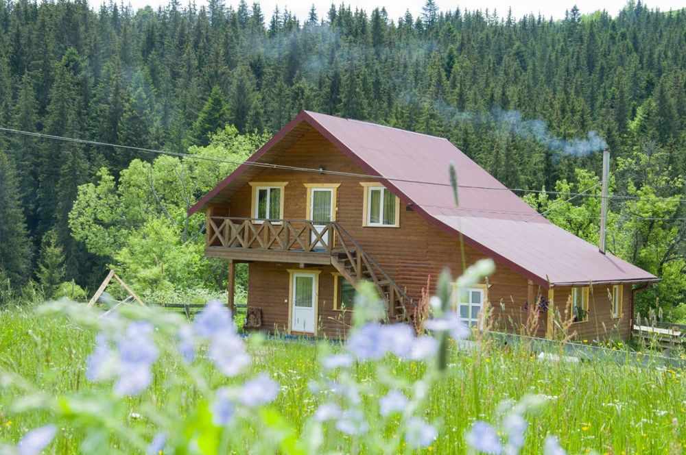 Будиночок в горах, село Яблуниця, 1 км від це