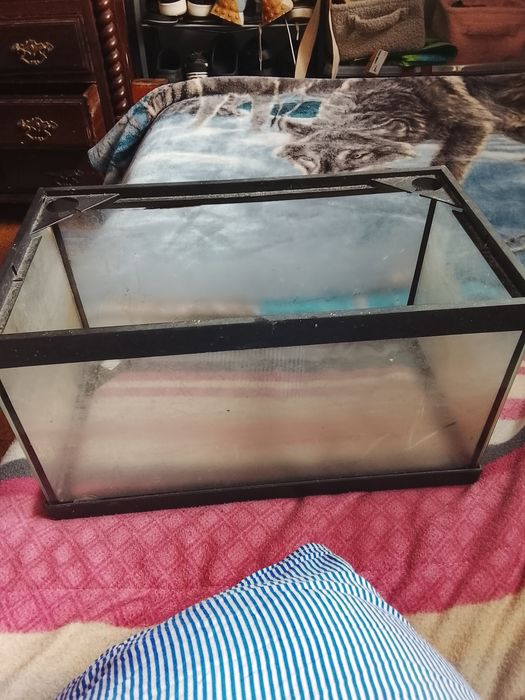 Aquário de peixe ou tartarugas