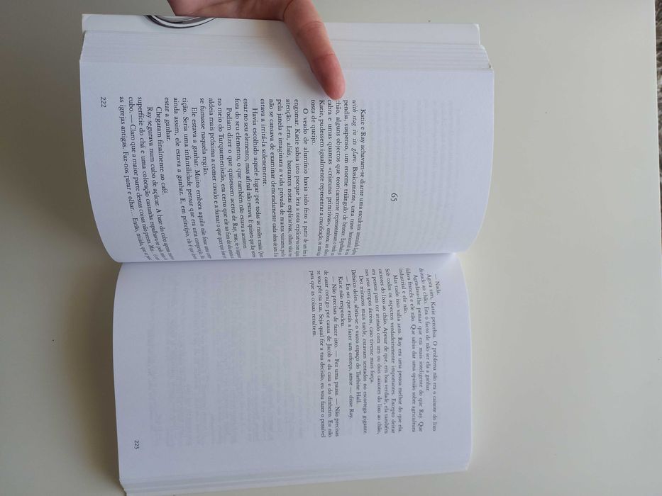 Livro Um Pequeno Inconvenente, de Mark Haddon
