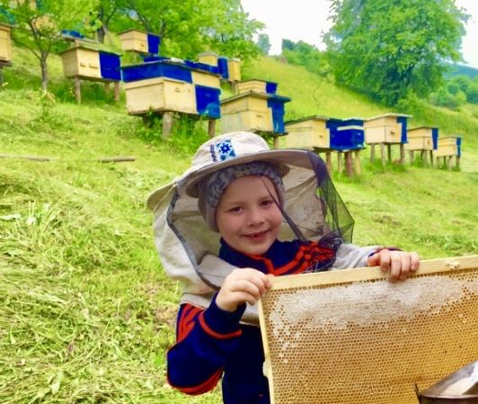 Матка "Карпатка" Карніка"