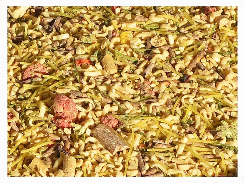 4,5kg Makaron błyskawiczny ECONOMY sucha karma dla psa instant