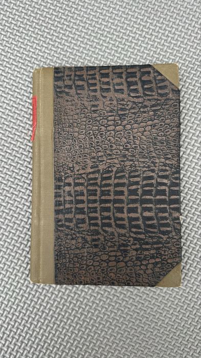 Zamek Kaniowski Seweryn Goszczyński 1909 rok