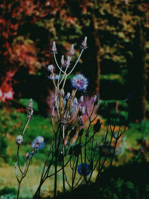 Fotos profissionais de produtos – preços acessíveis