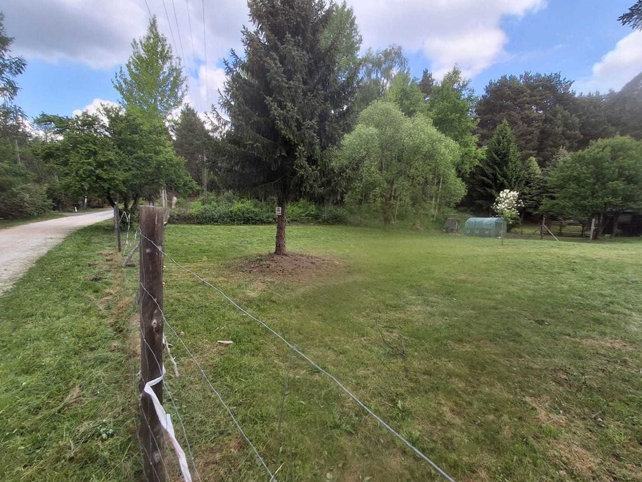 Działka nad rzeką Pilicą(budowlana)Ostrów gm. Aleksandrów - Widok 4
