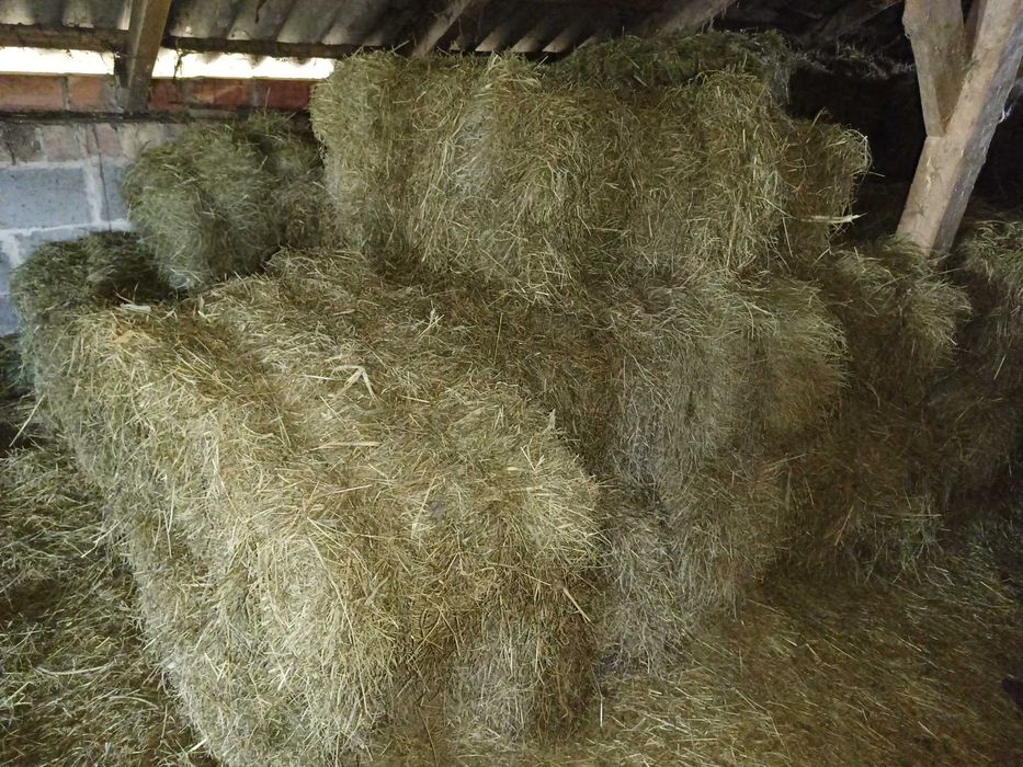 siano, słoma w małej kostce