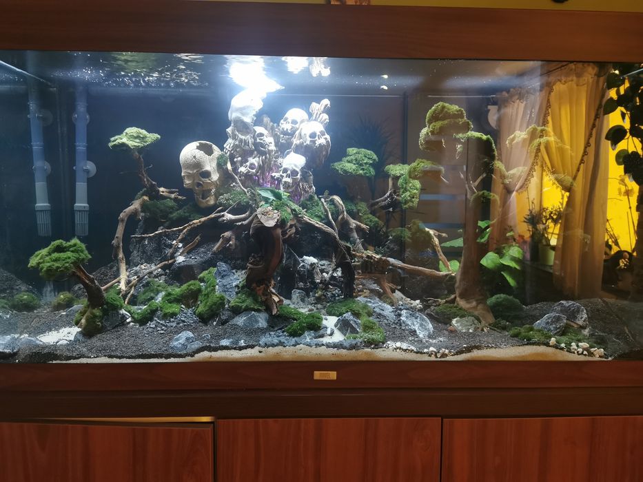 Akwarium juwel rio 350 Wzgórze czaszek