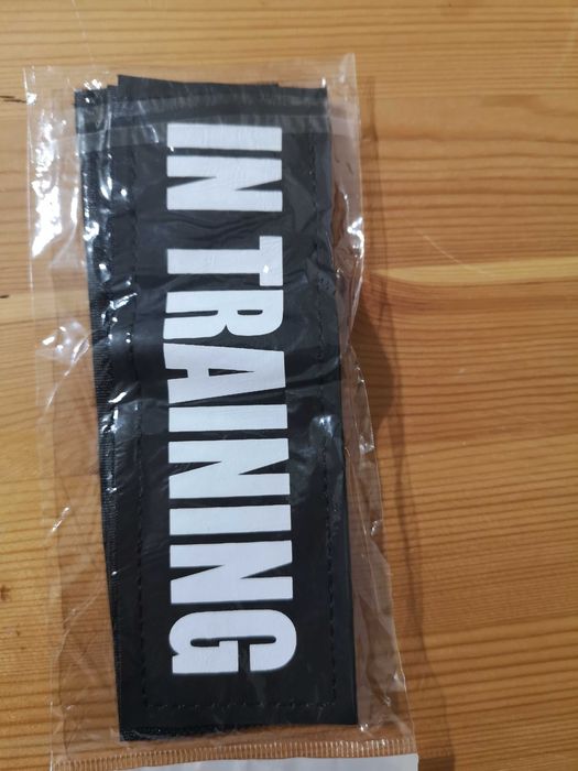 Szelki taktyczne, treningowe dla psa, kolorowe
