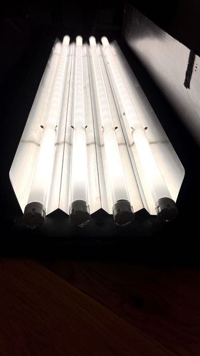 Lampa studyjna X-FLO (zestaw)