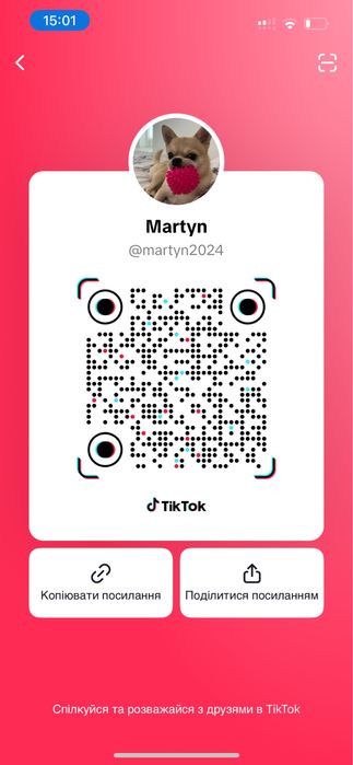 Вязка  чіхуахуа