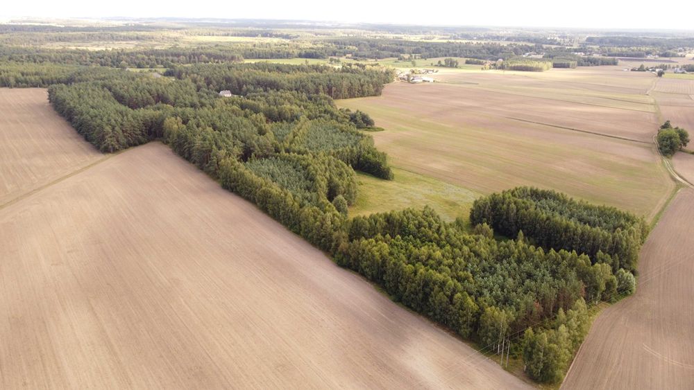 Piękna działka z warunkami zabudowy,staw,las,mazury