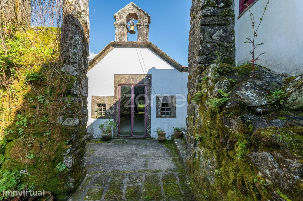 Quinta de Santa Luzia com 28ha no Minho para Venda