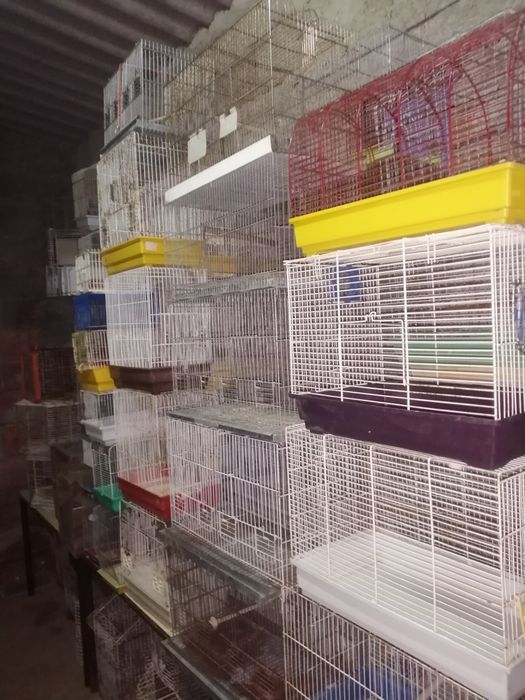 Gaiolas usadas BARATAS