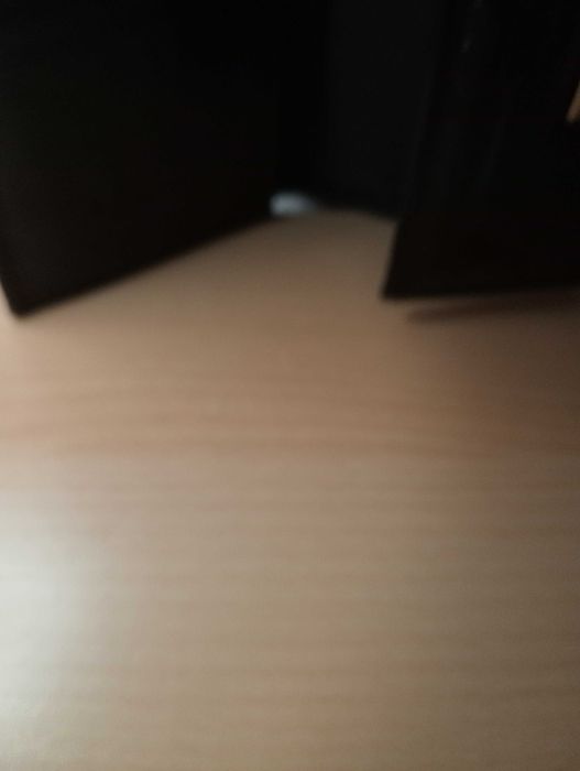 Carteira da cavalinho com com certificado