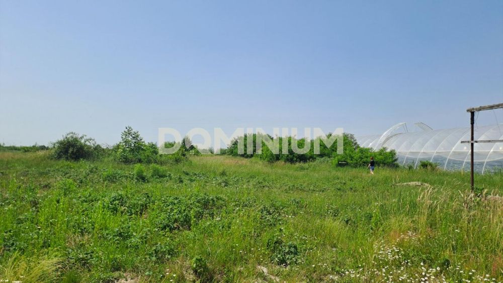 Продаж  земельної ділянки м.Виноградів , вул. Ягідна  9 - View 4