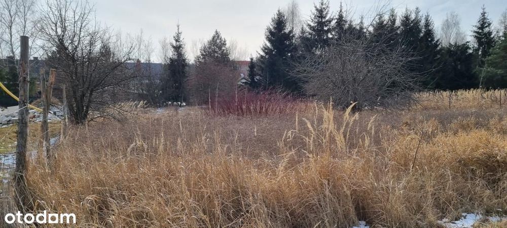 Działka, Rusiec