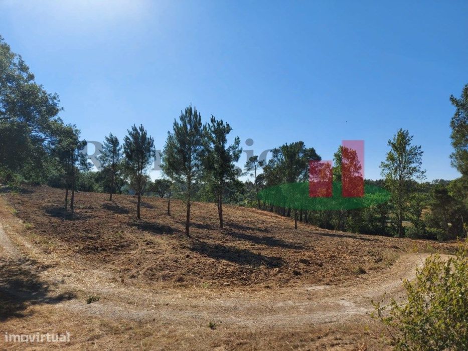 Terreno Rústico Assentiz***RIOMAGIC*** — Assentiz, Santarém