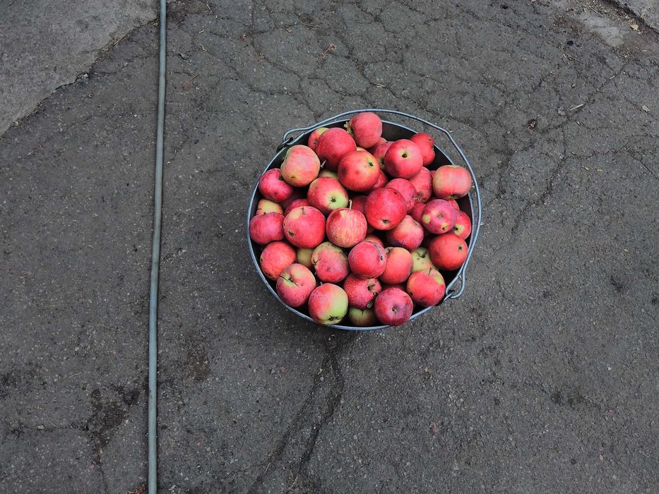 Уксус яблочный .