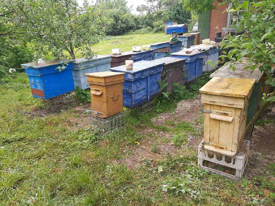 Продам вулики. Вулики для бджіл