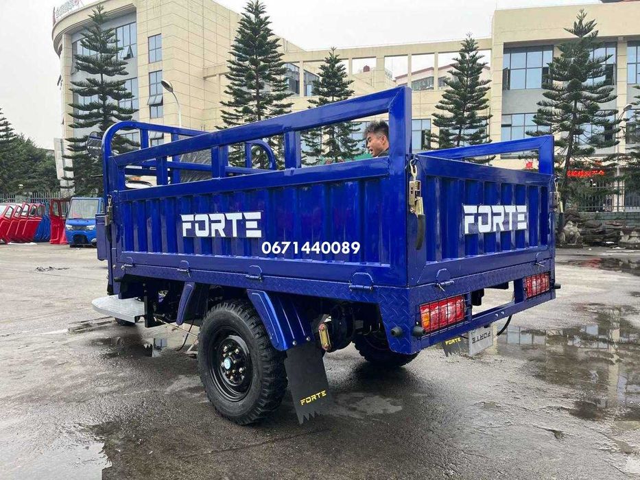 Вантажний мотоцикл (трицикл) Forte CT-252 бензин Навантаження -600 кг Зелениий, синій Доставка безкоштовна, СТ-302 Н