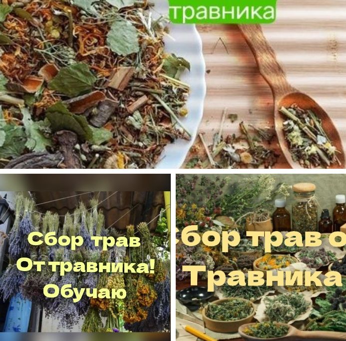 Лекарственные травы фито чай лікарські рослини травы травник чай