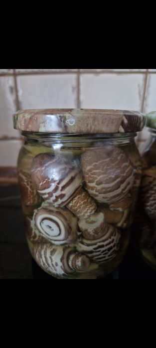 Młoda kania w zalewie słodko-kwaśnej 540 ml