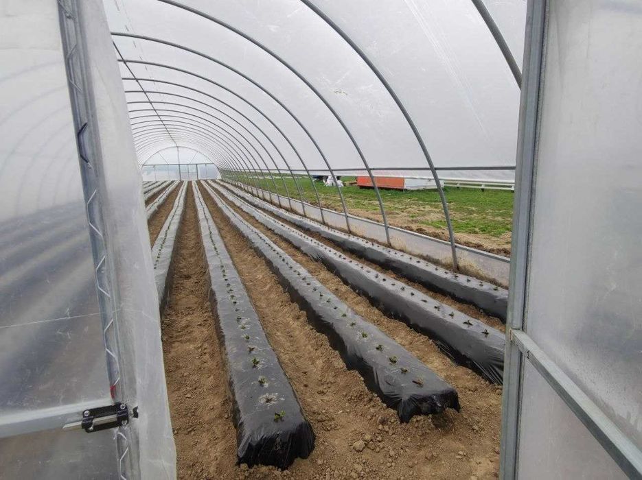 Фермерська теплиця.Каркасні теплиці оцинковані під плівку. 10*50 продаж.