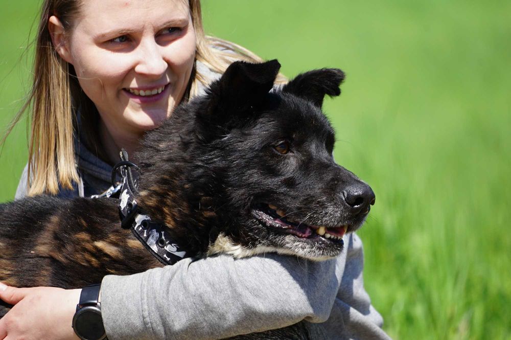 Ciacho - uroczy, duży psiak szuka domu