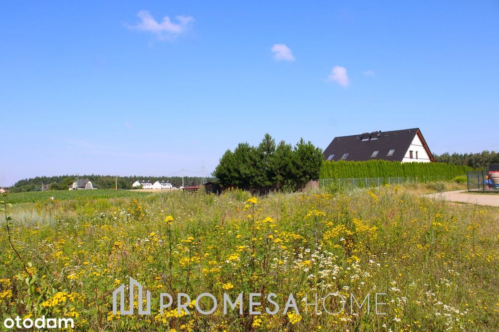 Jankowo Dolne/Gniezno działki budowl MPZP Media Super Cena blisko lasu