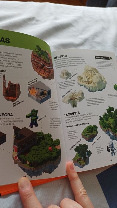 Livro Minecraft -guia de sobrevivência