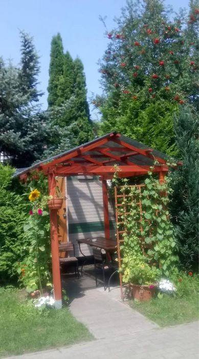 Domki drewniane i holenderskie nad morzem