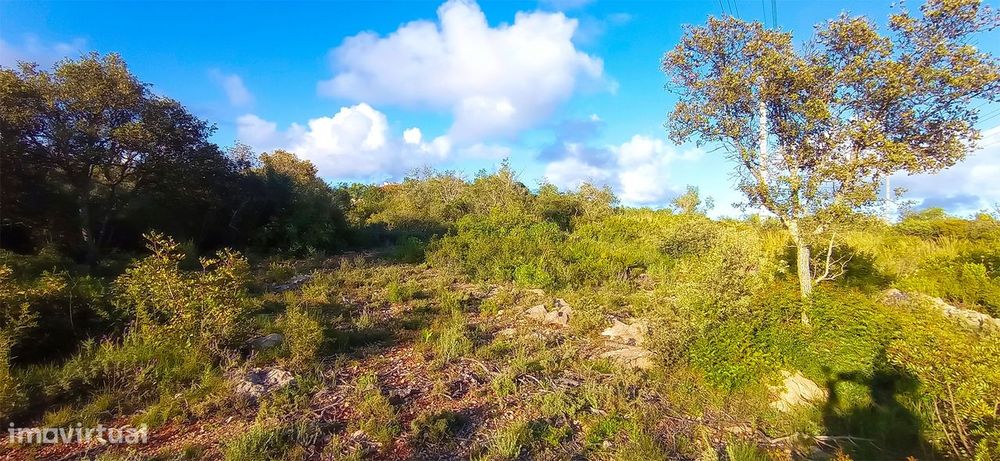 Terreno Rústico  Venda em Conceição e Estoi,Faro