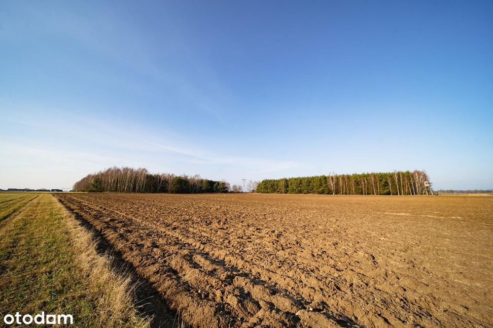Nowe działki przy lesie 12 min od centrum Słupska