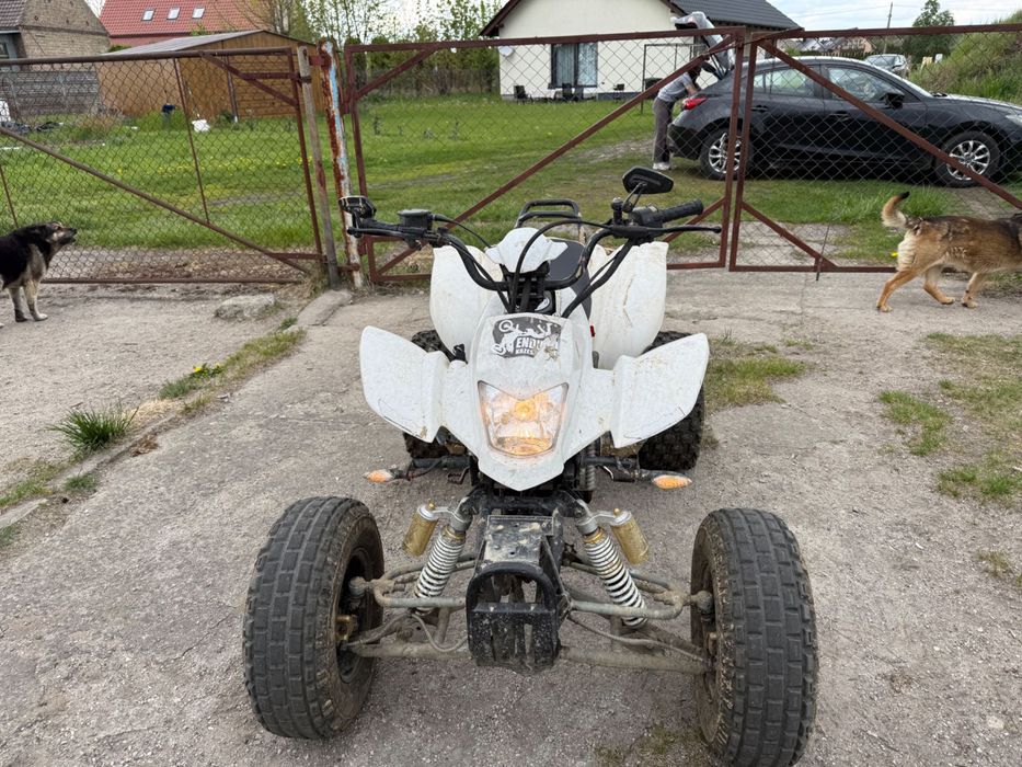 Quad bashan 250