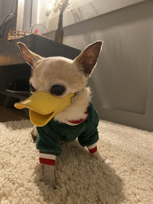 Кофта тепла