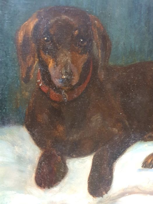 Antiga pintura de um cão Dachshund em óleo sobre tela assinada