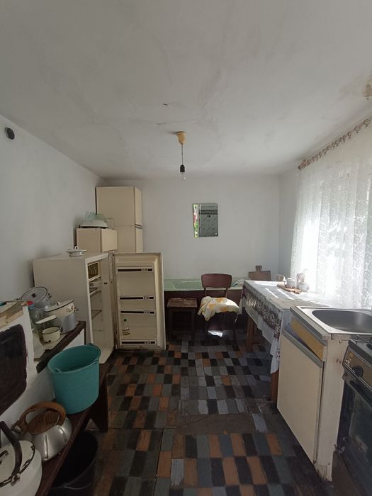 Продається два будиночка на великій ділянці Довжок
